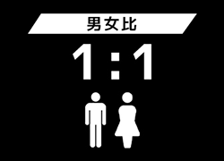 男女比 1:1